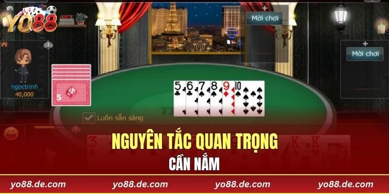 Nguyên tắc quan trọng cần nắm