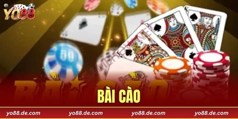 Bài cào